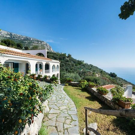 Il Nibbio Piano di Sorrento Exterior foto