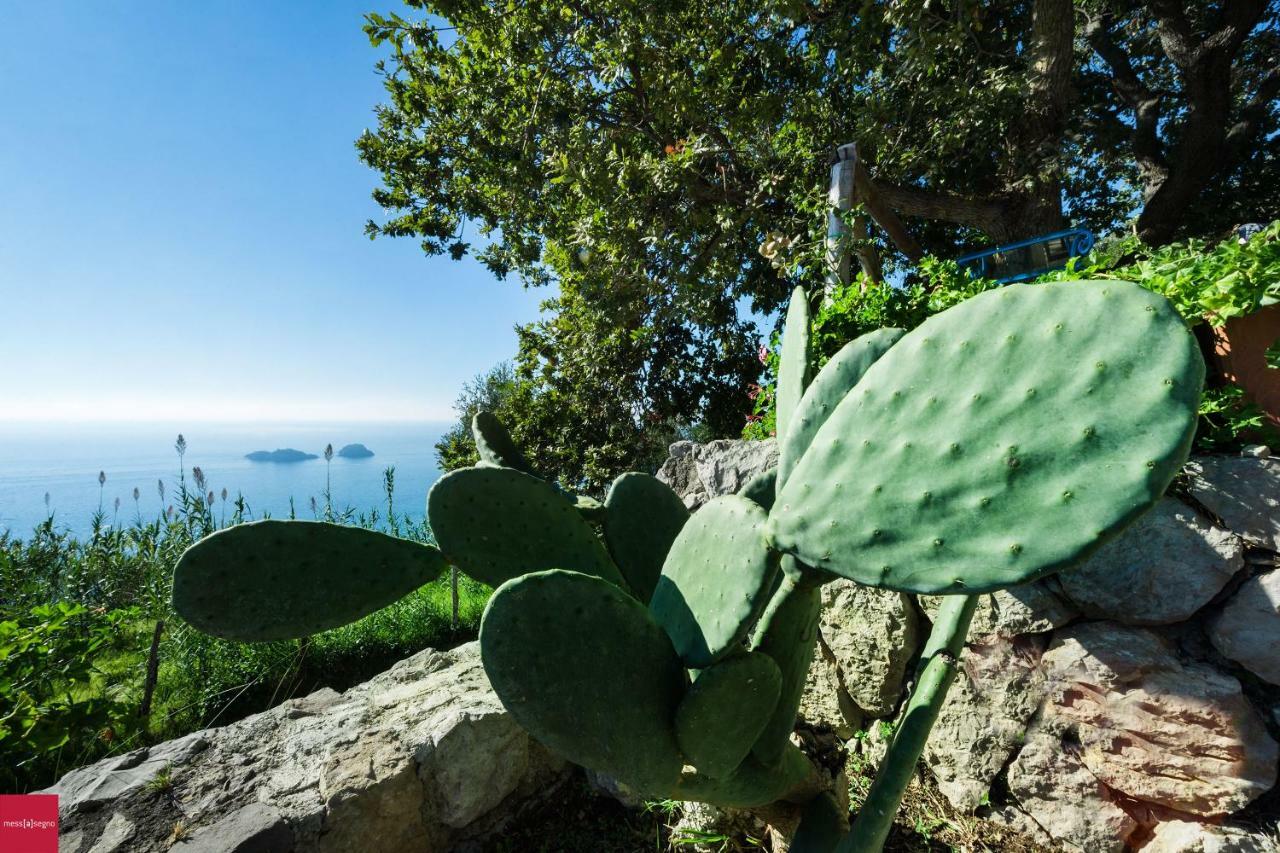 Il Nibbio Piano di Sorrento Exterior foto