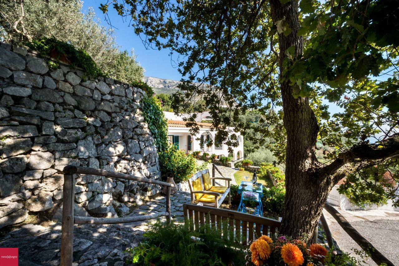 Il Nibbio Piano di Sorrento Exterior foto