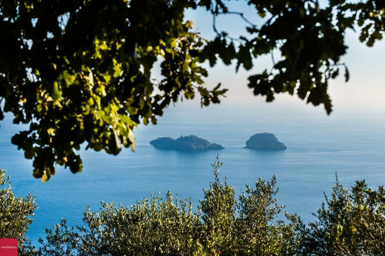 Il Nibbio Piano di Sorrento Exterior foto